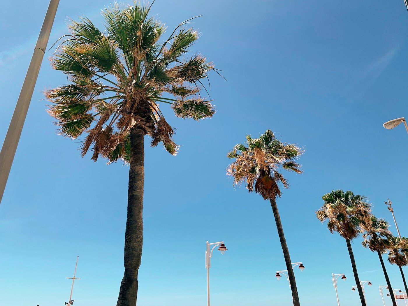 Los encantos de Cullera, en la Costa Valenciana